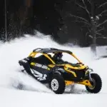 TIME LIMITED SHOOTING WITH CAN-AM ON THE SKI SLOPE WITH DAKAR WINNER